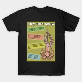 Huntsman spider information poster T-Shirt